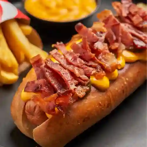 Perro americano