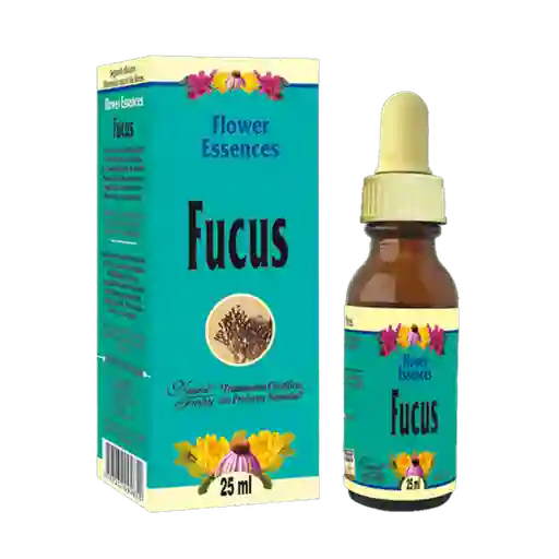 Natural Freshly Esencia Fucus