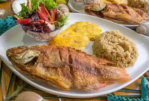 Mojarra Frita + Limonada GRATIS