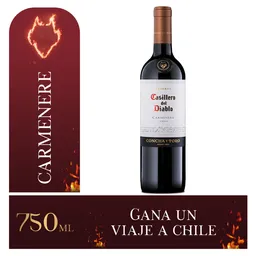 Casillero Del Diablo Vino Carmenere
