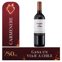 Casillero Del Diablo Vino Carmenere