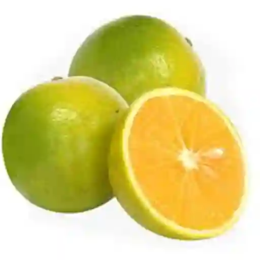Naranja Valencia