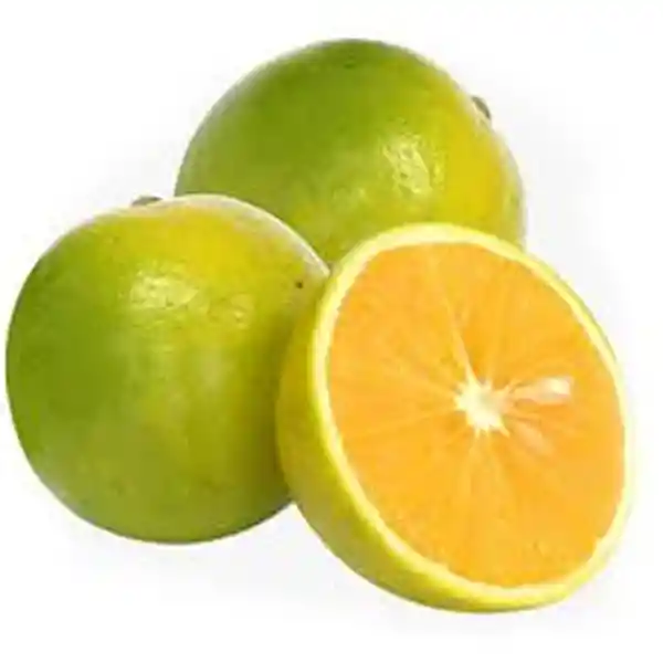 Naranja Valencia