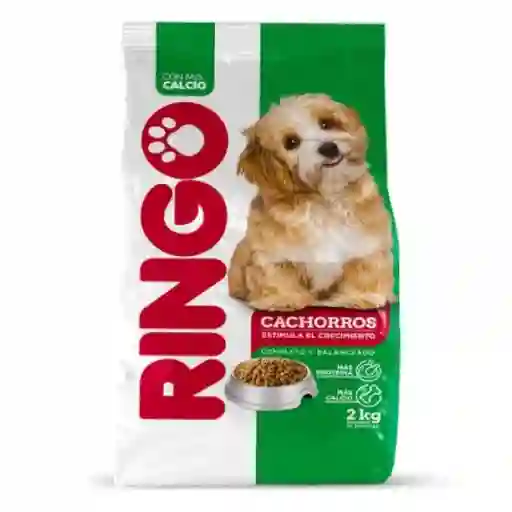 Ringo Alimento Seco para Perros Cachorros