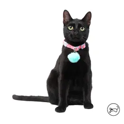 Collar Ajustable Para Gato Meow Rosado