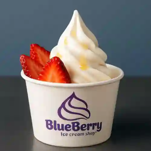 Helado de Yogourt Pequeño con Topping's