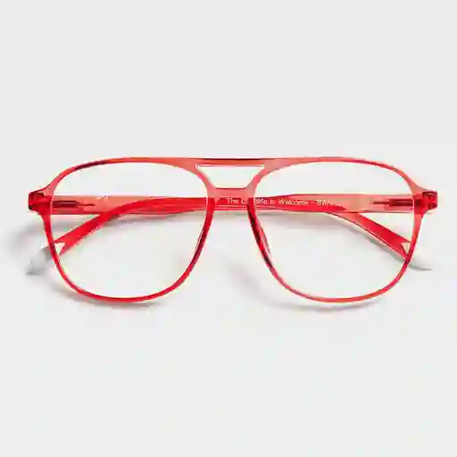 Barner Gafas Reading Brad Ro + 2.50