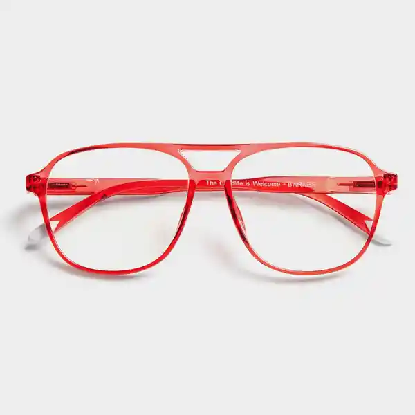 Barner Gafas Reading Brad Ro + 2.50