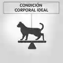 Comida humeda para gatos esterilizados Purina Pro Plan x 85gr