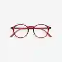 Izipizi Gafas Reading D Rojo Rosy +2.0