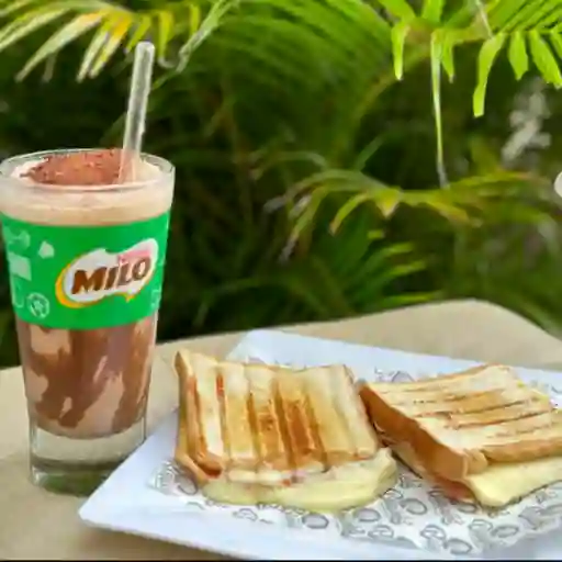 Milo granizado + sandwiches