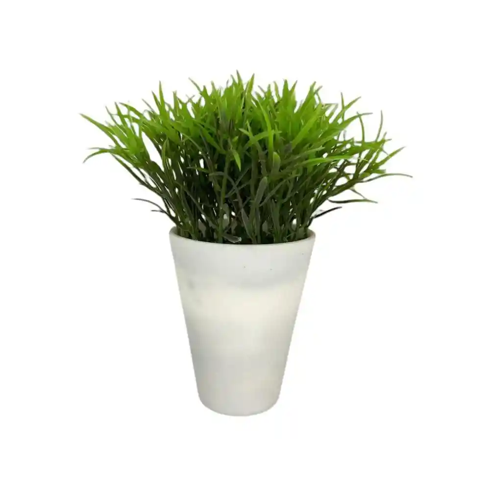 Planta Con Pote Bambú Concepts 592301397