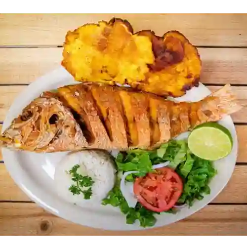 Pargo Rojo