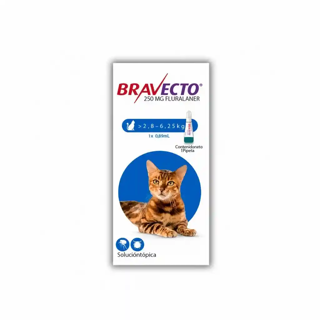Bravecto Gato De 2.8 Kg A 6.25 Kg