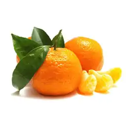 Mandarina Común