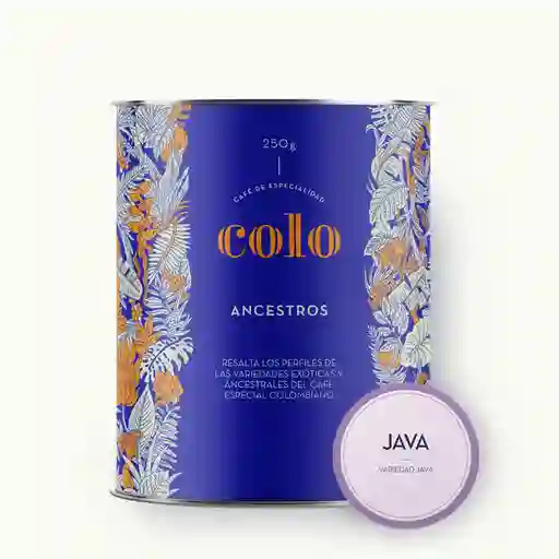 Café Collo Java: Línea Ancestros (250 Gr)