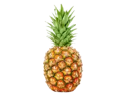 Piña Oro Miel