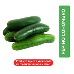 Pepino Cohombro