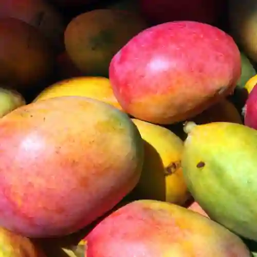 Jugo de Mango