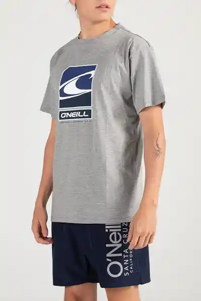 ONeill Camiseta Classic Flag Wave Masculina Gris Oscuro Talla S