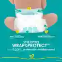 Pampers Pañales Swaddlers Talla 5