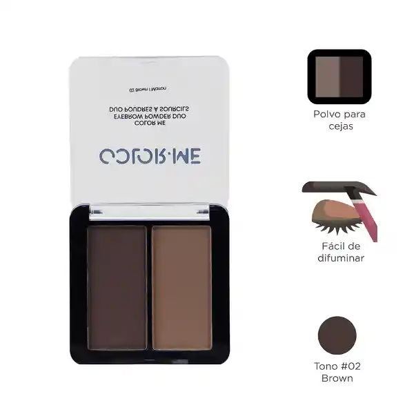 Set Polvos Para Cejas Color Marrón me 02 Miniso