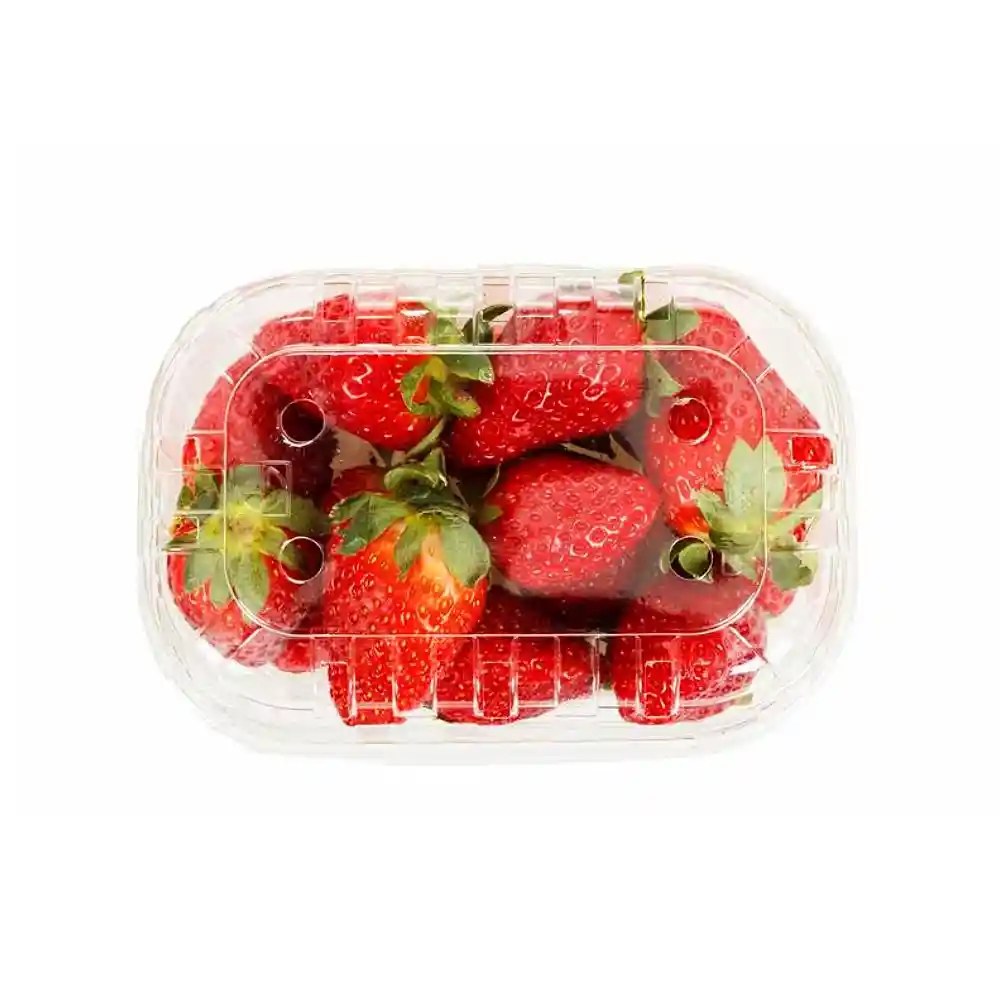 Fresa Fresca Primavera