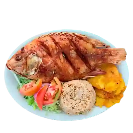 Mojarra