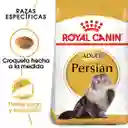 Royal Canin Alimento para Gato Adulto Persa