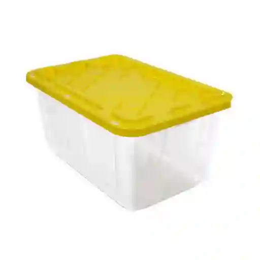 Greenmade Caja Profesional Transparente Para Almacenamiento