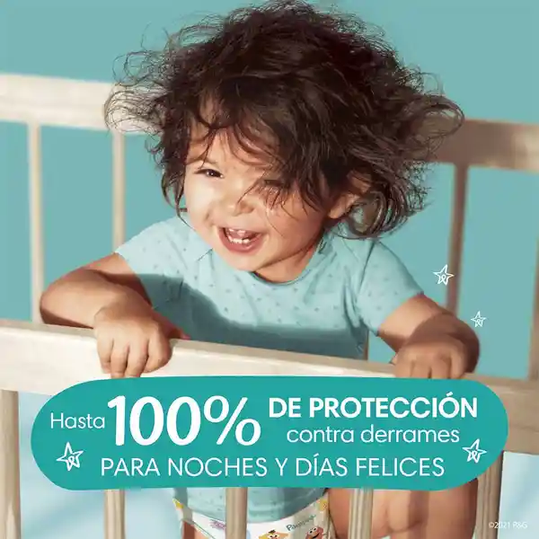 Pañales Pampers Baby-Dry Talla 6 64 Unidades