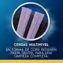 Oral B Cepillo Color Collection