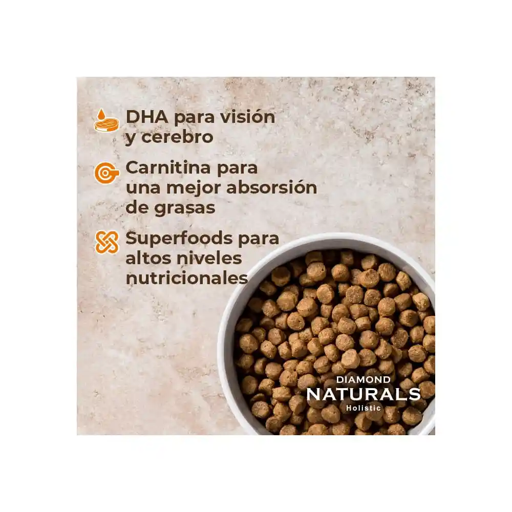 Diamond Naturals Alimento Para Perro Puppy Large Breed 2.72 Kg