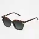 Tiwi Gafas de Sol Hale Diseño Español Carey
