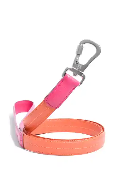 OBI Pets Splies Monty 25 mm Mandarina