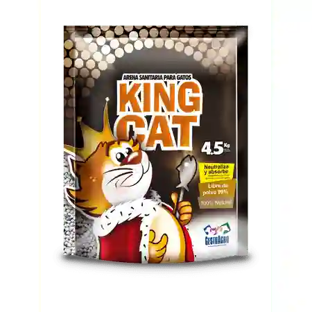 King Cat Arena para Gato