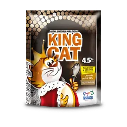 King Cat Arena para Gato