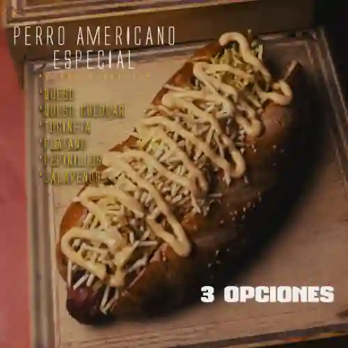 Perro americano especial