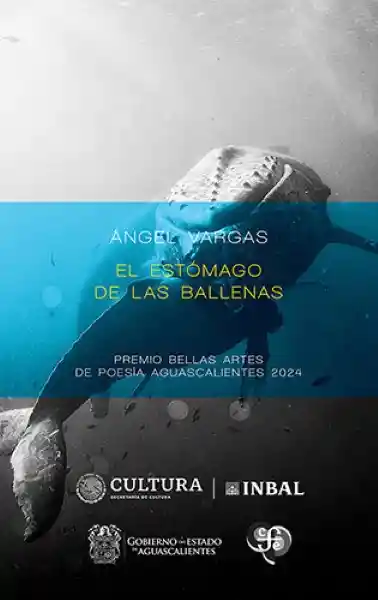 El Estómago de Las Ballenas