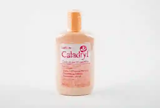Caladryl Warner Lambert Wl - Llc Calamina Frasco X 100Ml