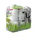Colanta Pack Leche Pasteurizada Entera