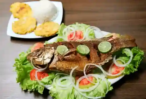 Promo Mojarra Frita y Arroz de Camarón