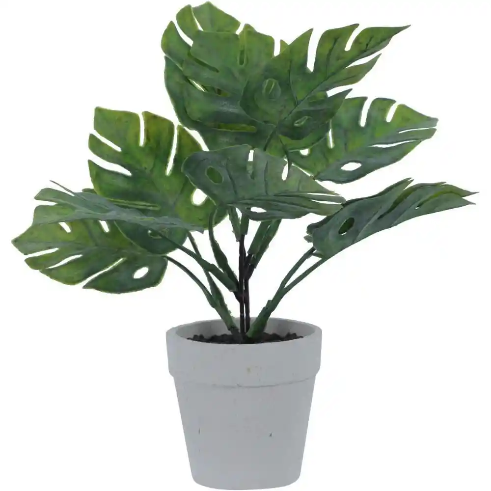 Planta Concepts 420593165