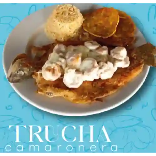 Trucha con Camarones