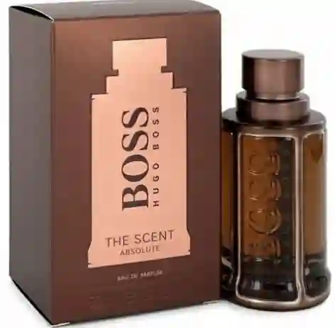 Hugo Boss Perfume The Scent Absolute For Men 50 mL