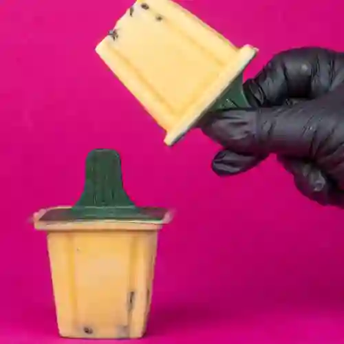 Helado Ron Pasas