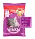 Whiskas alimento para gato adulto carne 9 kg