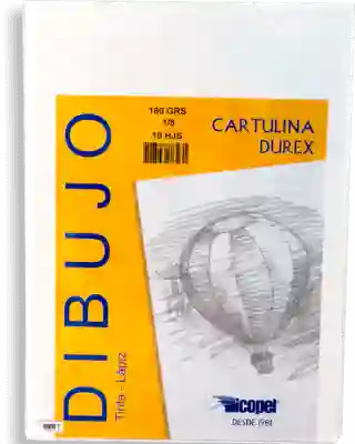 Cartulina ref. 12221