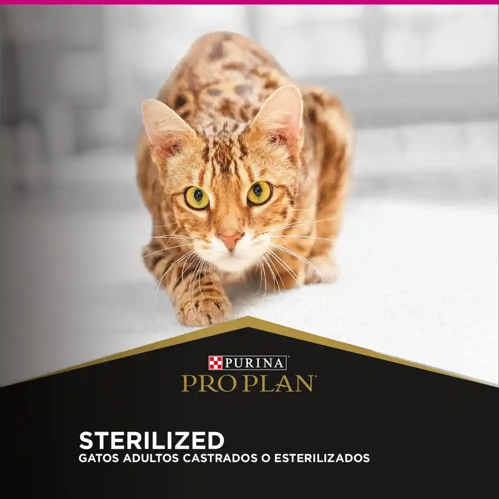 Comida para Gatos Adultos Esterilizados Purina Pro Plan x 1 kg