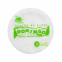 Domingo Plato de Papel Grande 9"